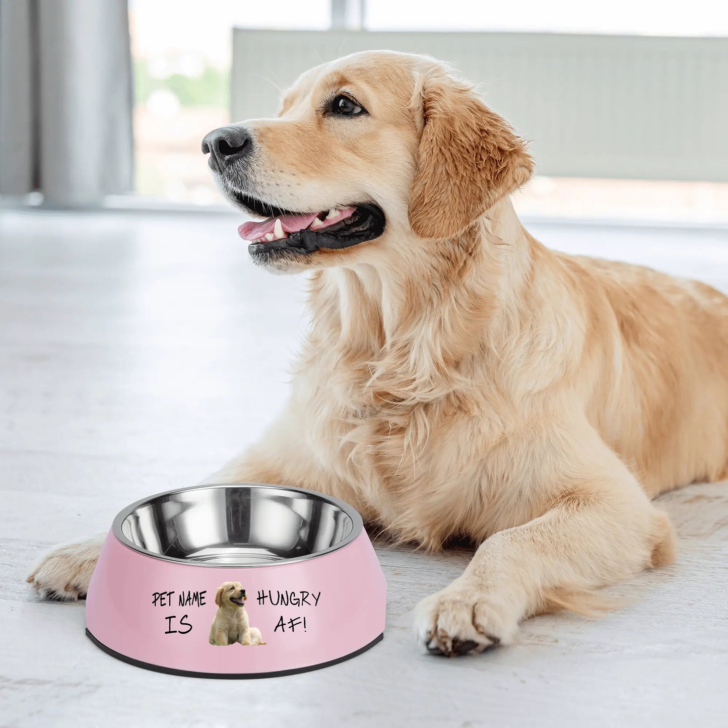 Personalized Stainless Steel Dog Bowl Pet Bowl