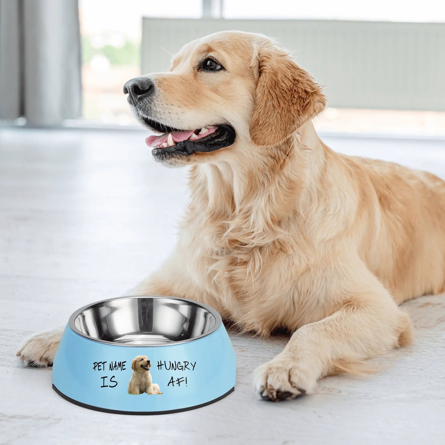 Personalized Stainless Steel Dog Bowl Pet Bowl