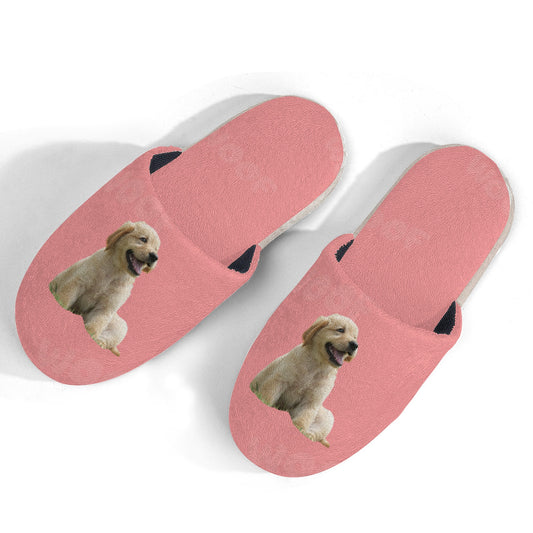 Womens Slippers