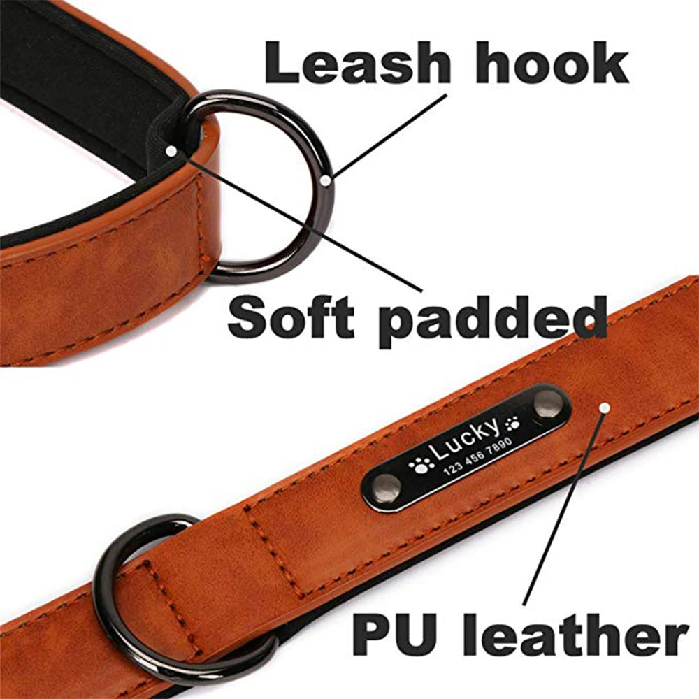 Personalized Dog Collar