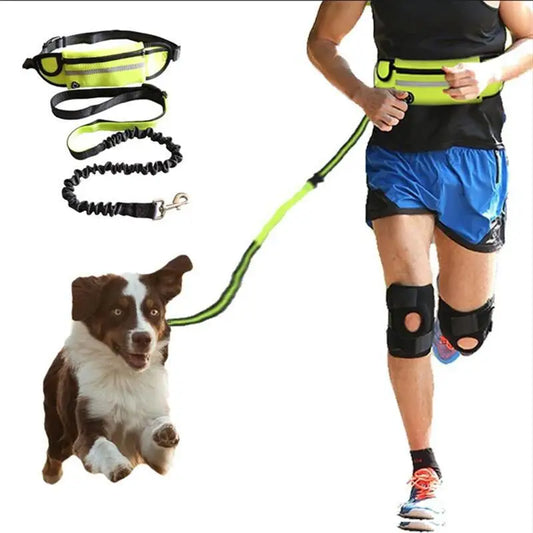 Hands Free Dog Leash for Running