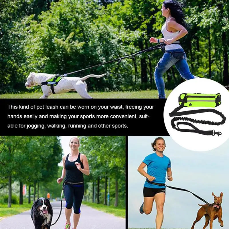 Hands Free Dog Leash for Running