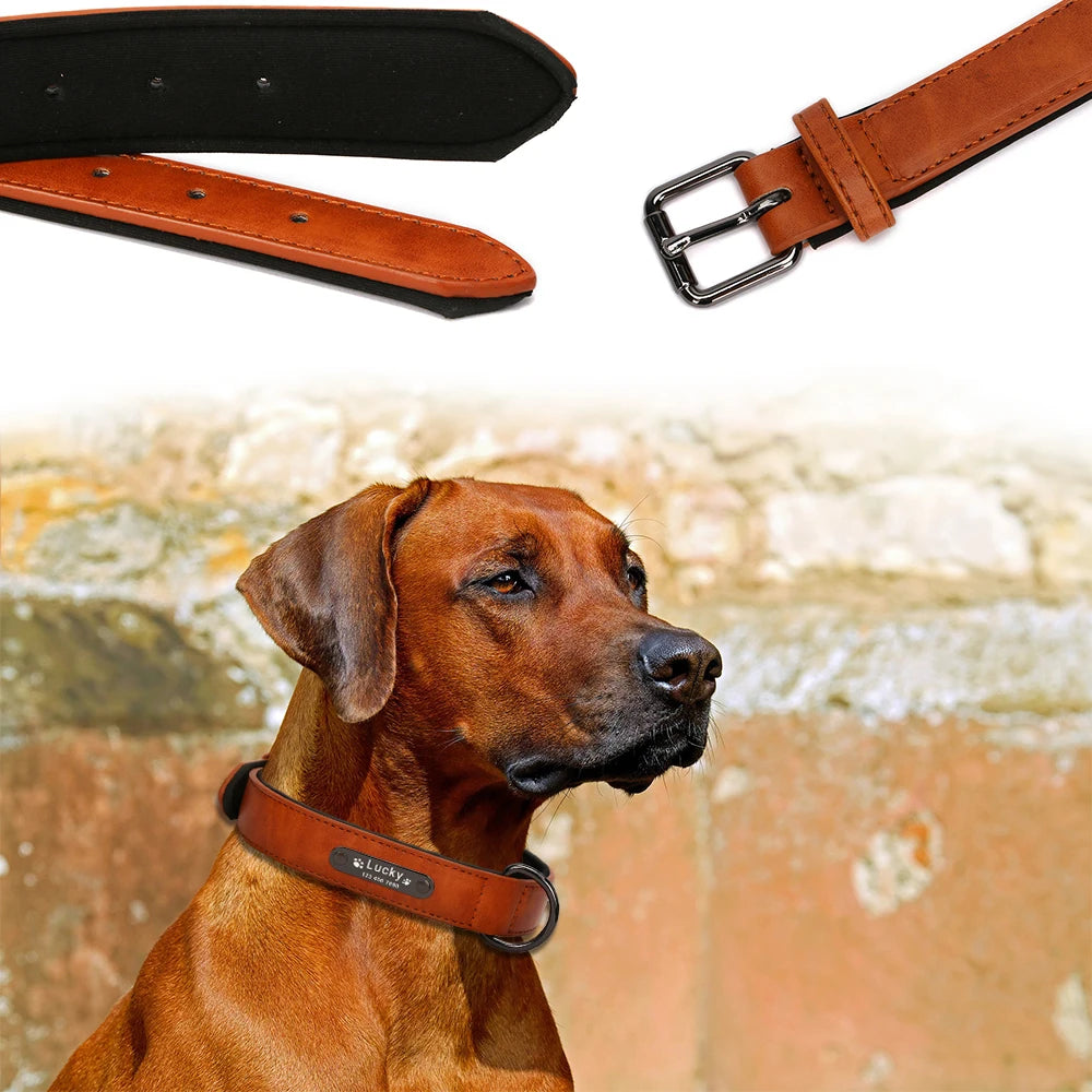 Personalized Dog Collar