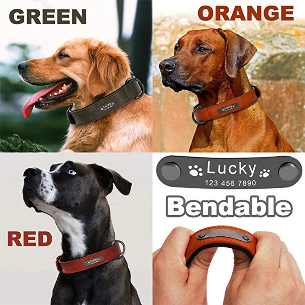 Personalized Dog Collar