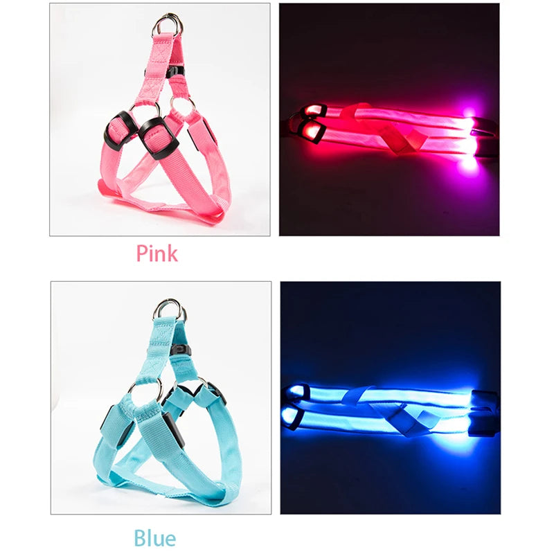 LED Dog Harness