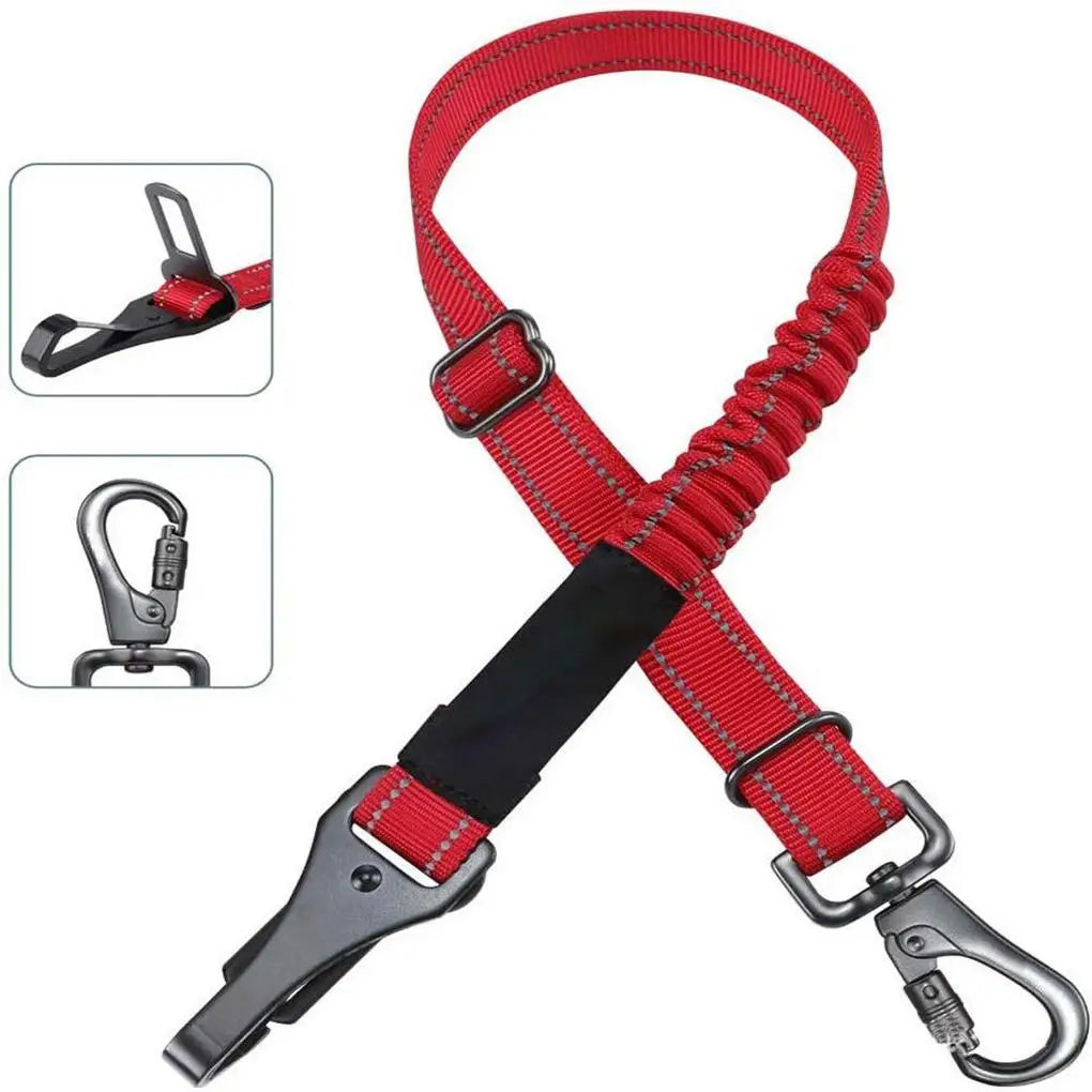 Hands Free Dog Leash for Running