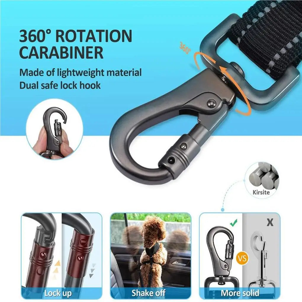 Hands Free Dog Leash for Running