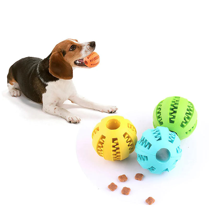 Doggie Treat Chew Ball