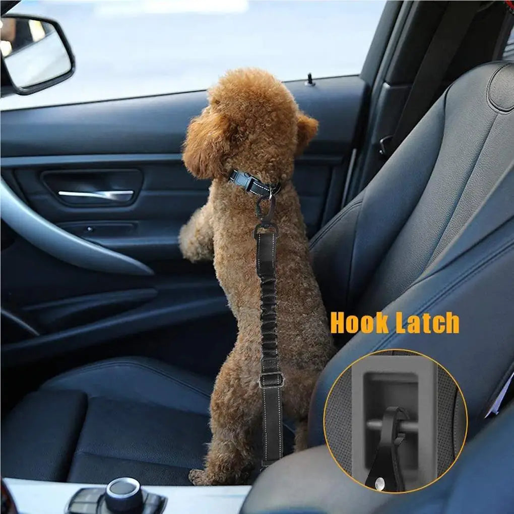 Hands Free Dog Leash for Running