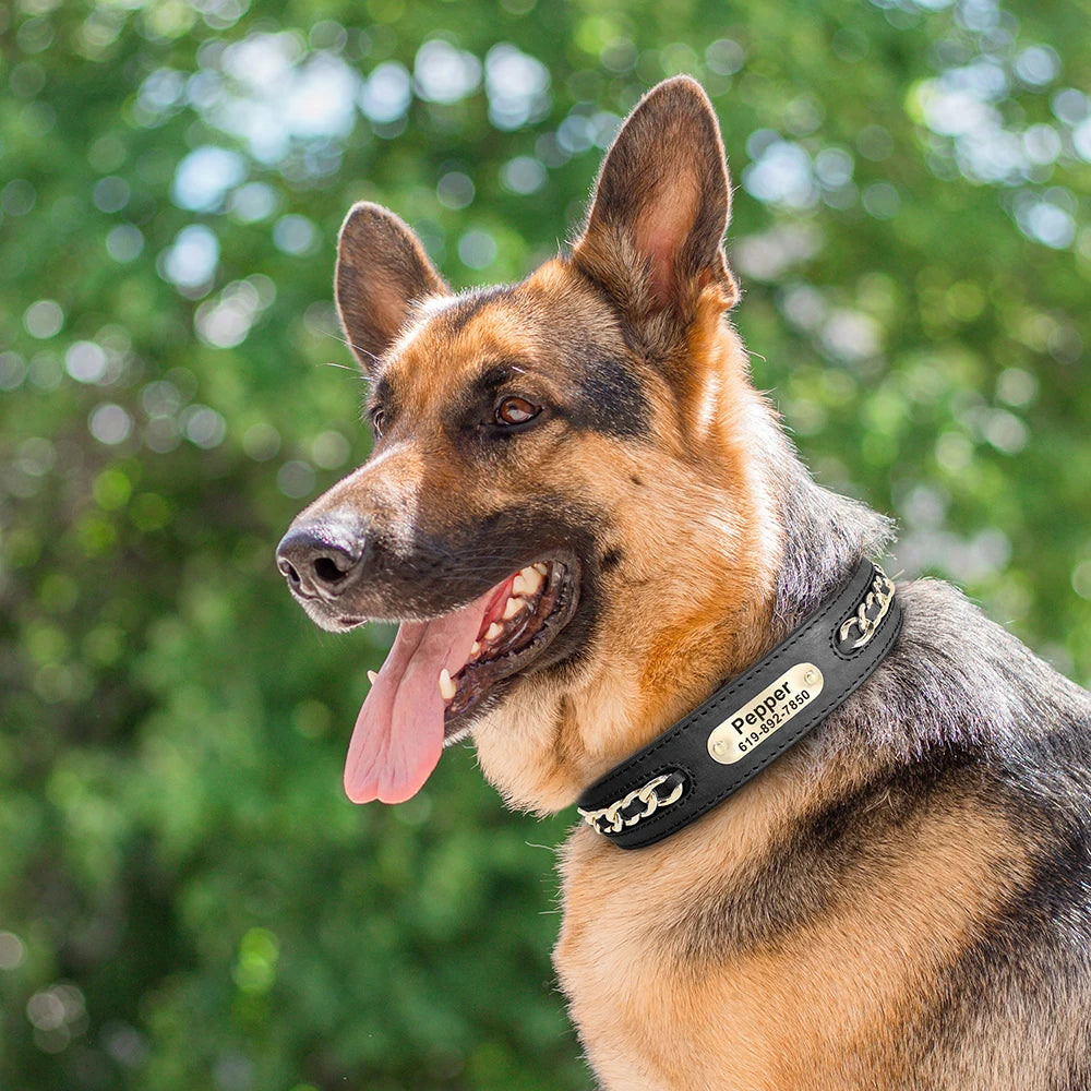 Personalized Leather Dog Collar