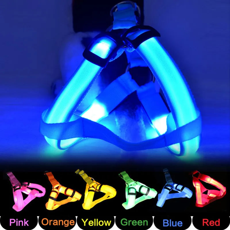 LED Dog Harness