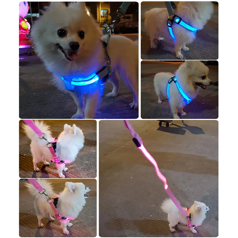 LED Dog Harness